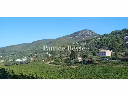 maison avec piscine et terrasse ollioules (83)