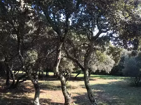 terrain 400 m² gajan