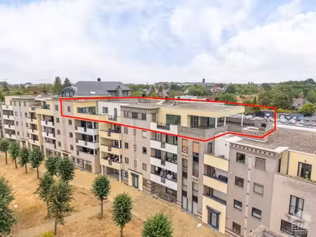 penthouse casco plus au centre de hasselt