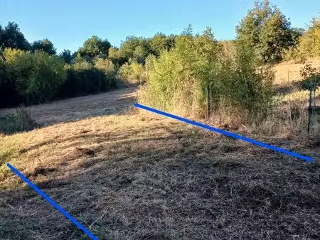 terrain constructible avant les bois