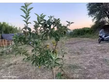 terrain agricole/loisir