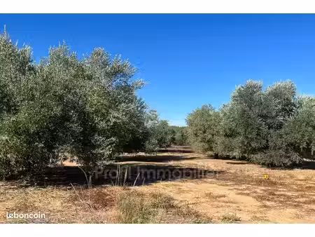 terrain 15000 m² marsillargues