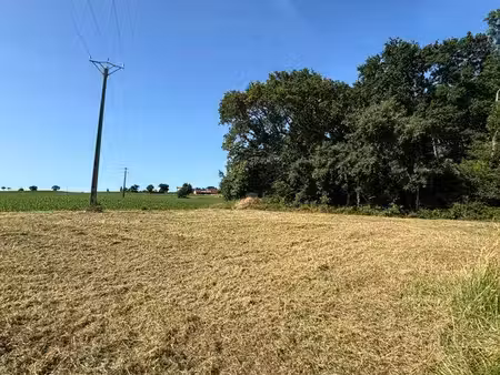 terrain constructible