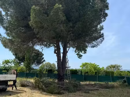recherche terrain agricole