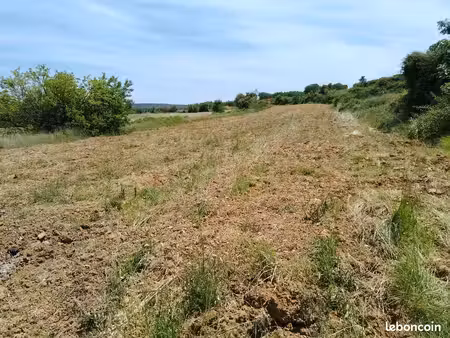 terre agricole