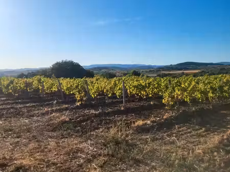 terrain agricole