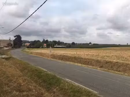 ancienne parcelle de vignes 2 13 ha