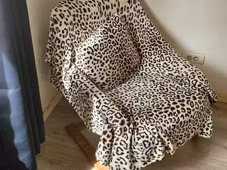 chambre meublée