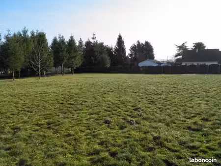 terrain 2 371 m² montrieux en sologne