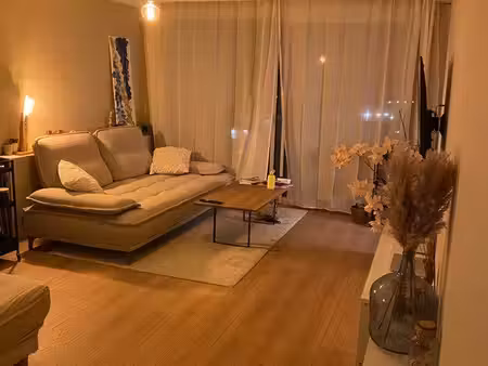 appartement lumineux la tronche