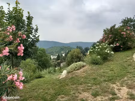 studio 1 pièce 24 m²