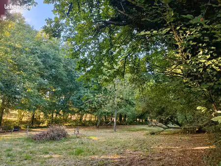 terrain 2 5 hectares - la carneille - orne