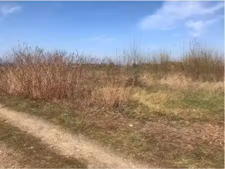 vente terrain 1000m2 novillers les cailloux