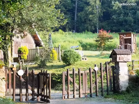 propriété 350m² + dépendances sur 38 ares - donon