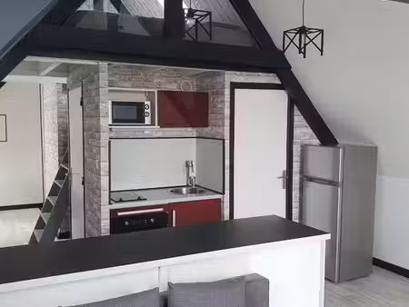 appartement t1 de caractère de 50 m²