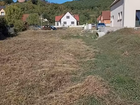 terrain-460m2