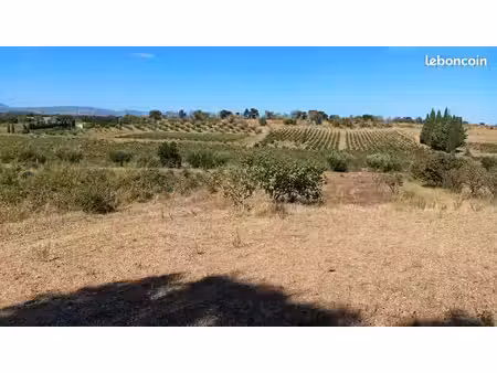 immobilier  propriété agricole