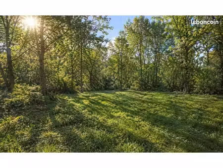 terrain 1638m2 arboré et constructible