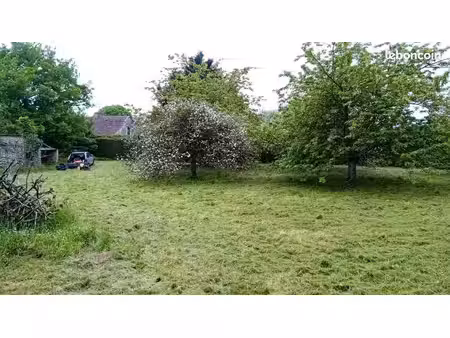 terrain d'agrément (verger)