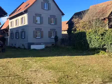rhinau – propriété alsacienne de caractère – 3 appartements + granges – 1 400 m² construct