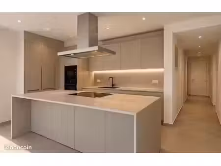 appartement lumineux