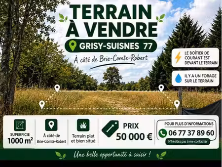 terrain 1000m