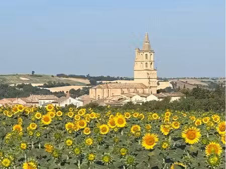 maison t3 avignonet lauragais