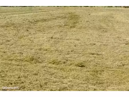 terrain agricole 20 000 m² heurteauville