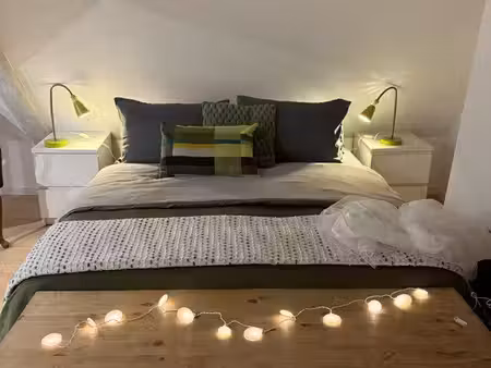 magnifique 3 pièces attique meublé selestat