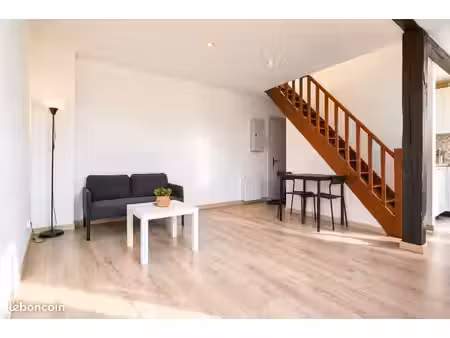 charmant duplex 3 pièces avec 2 chambres – strasbourg