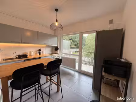 location meublée 50m2 brunstatt