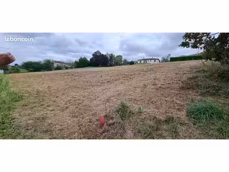 terrain constructible