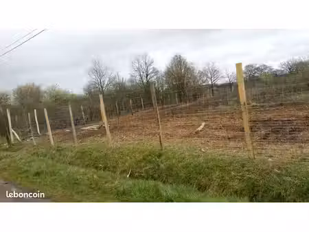 terre agricole