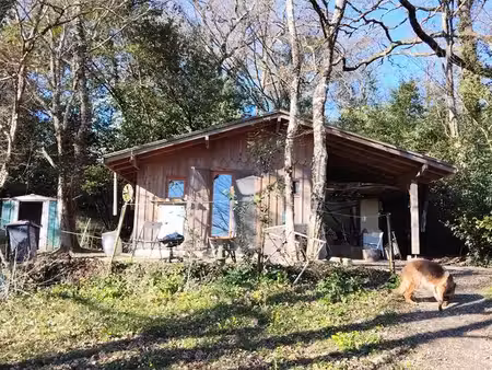 location terrain 7924 m avec chalet de stockage