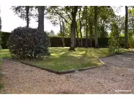 terrain constructible