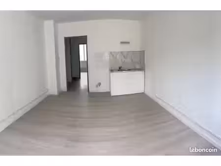 appartement 2 pièces 37m² en rdc avec jardin 40m² + cave 6m² - rénové à neuf