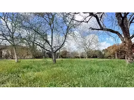 vente terrain 1000 m² à villaudric (31620)  98 000 €