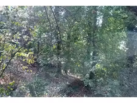 terrain constructible neuf à vendre