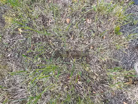 terrain constructible neuf à vendre