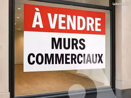 murs commerciaux a vendre