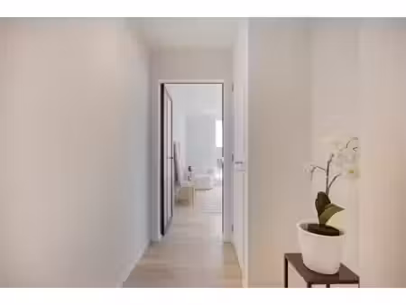 denderleeuw  anjelierenlaan 35  unieke penthouse met ruim...