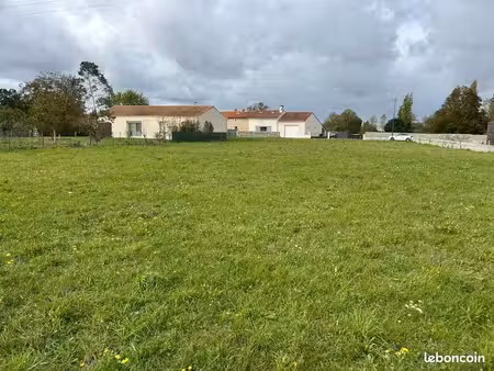 terrain constructible