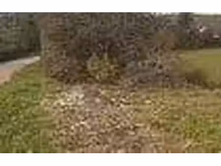 terrain constructible neuf à vendre