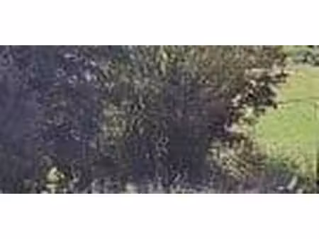 terrain constructible neuf à vendre