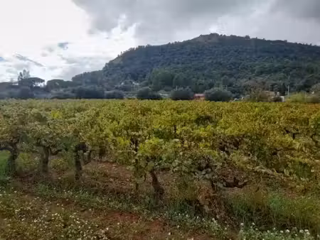 vente terrain 704 m² à puget-ville (83390)  160 000 €