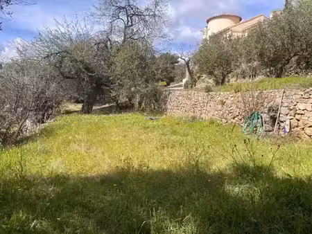 vente terrain 1150 m² à cuers (83390)  245 000 €