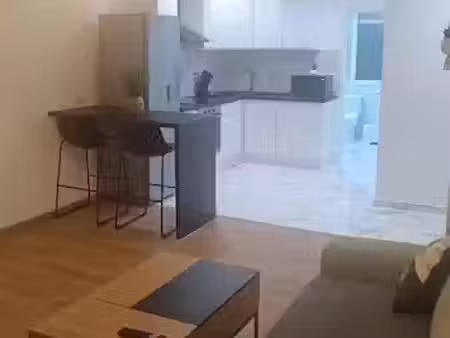 location appartement 2 pièces 45 m² à nantes (44000)  720 €