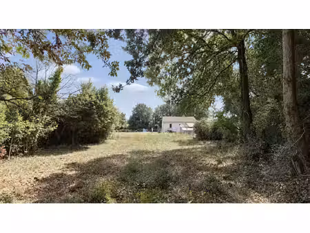a vendre  terrain constructible de plus de 1000 m²