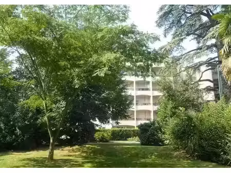 location appartement 1 pièce 20 m² à pau (64000)  360 €