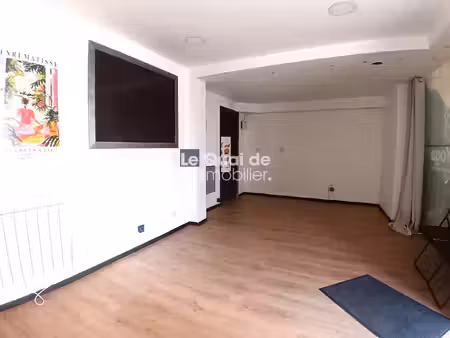 immobilier professionnel à vendre moirans
